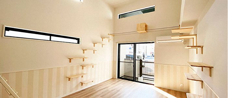 Como limpar as paredes do seu apartamento corretamente 1 1 7