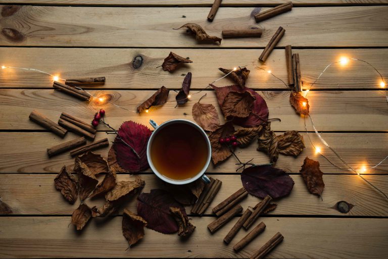 cup in autumn
