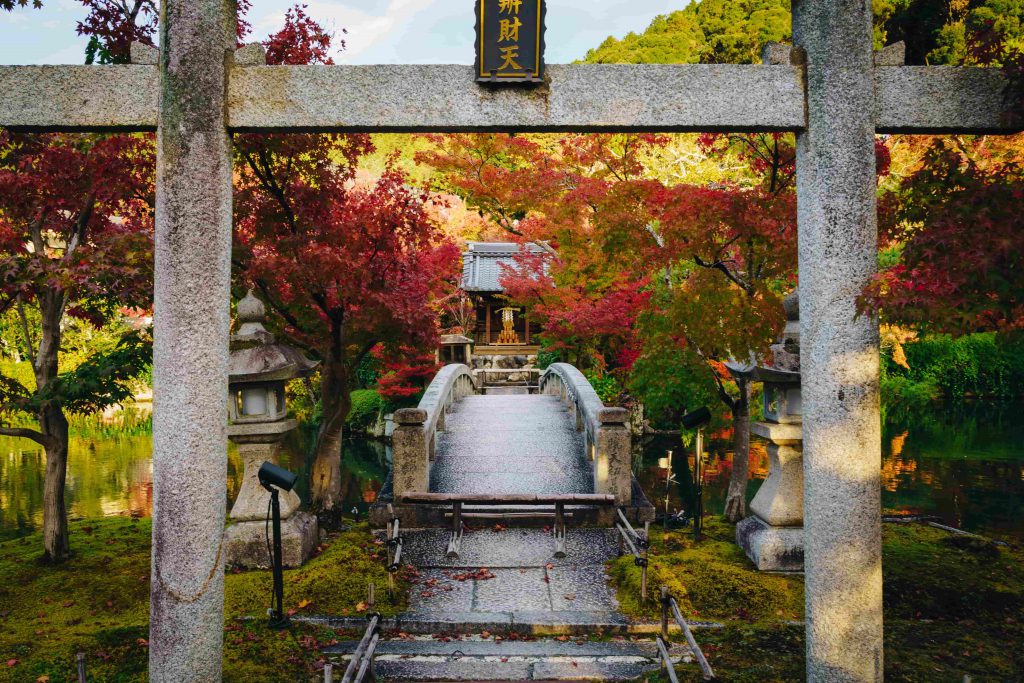5 lugares para apreciar folhagens de outono em Quioto 5 Construção japonesa tradicional