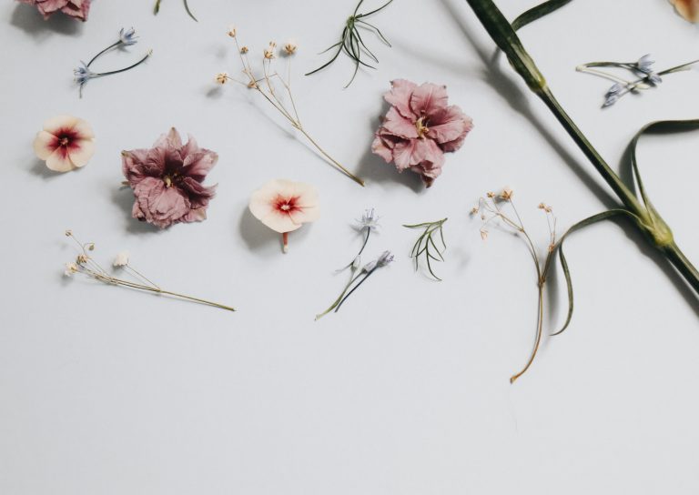 Reductive design elements