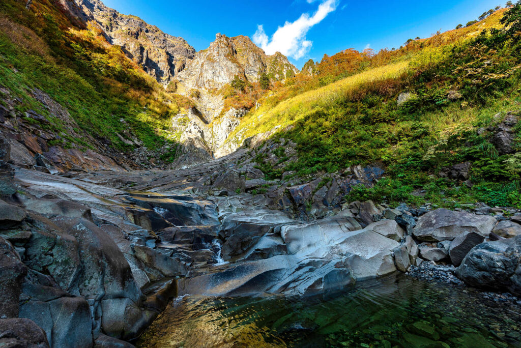 AdobeStock 258335695 1 2