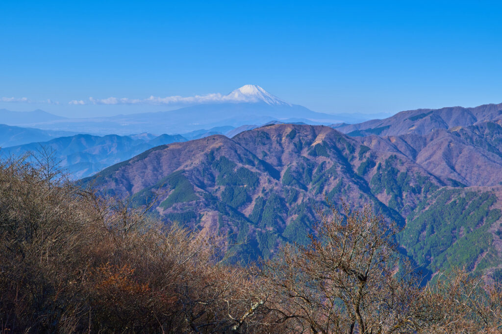 AdobeStock 506791017