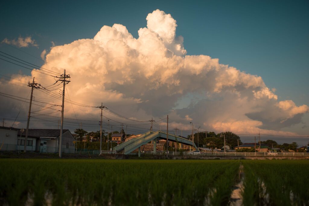 Rural View