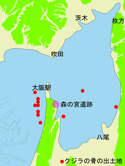 Lịch sử và Điểm nổi bật của Khu vực Osaka (Khu Nam Osaka) 2 image4
