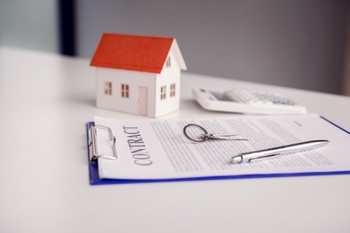 House miniature