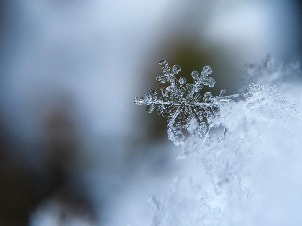 Do-it-yourself Cold Weather Solutions! 5 image5 1