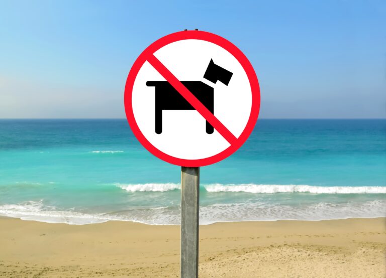 closeup shot of a no pets allowed sign at the be 2023 01 04 01 00 58 utc