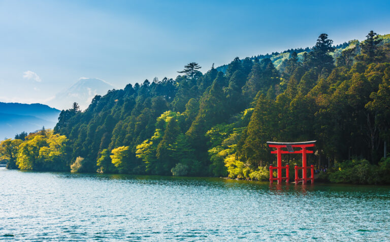 AdobeStock 193486883 1