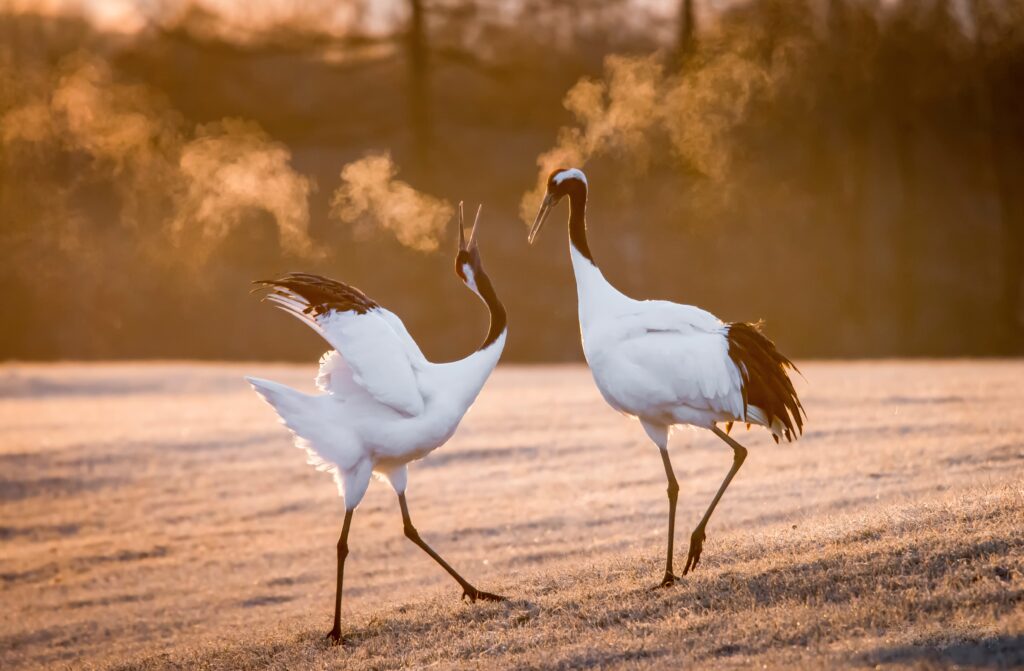 sammy wong iV5hOaNKTO8 unsplash 3
