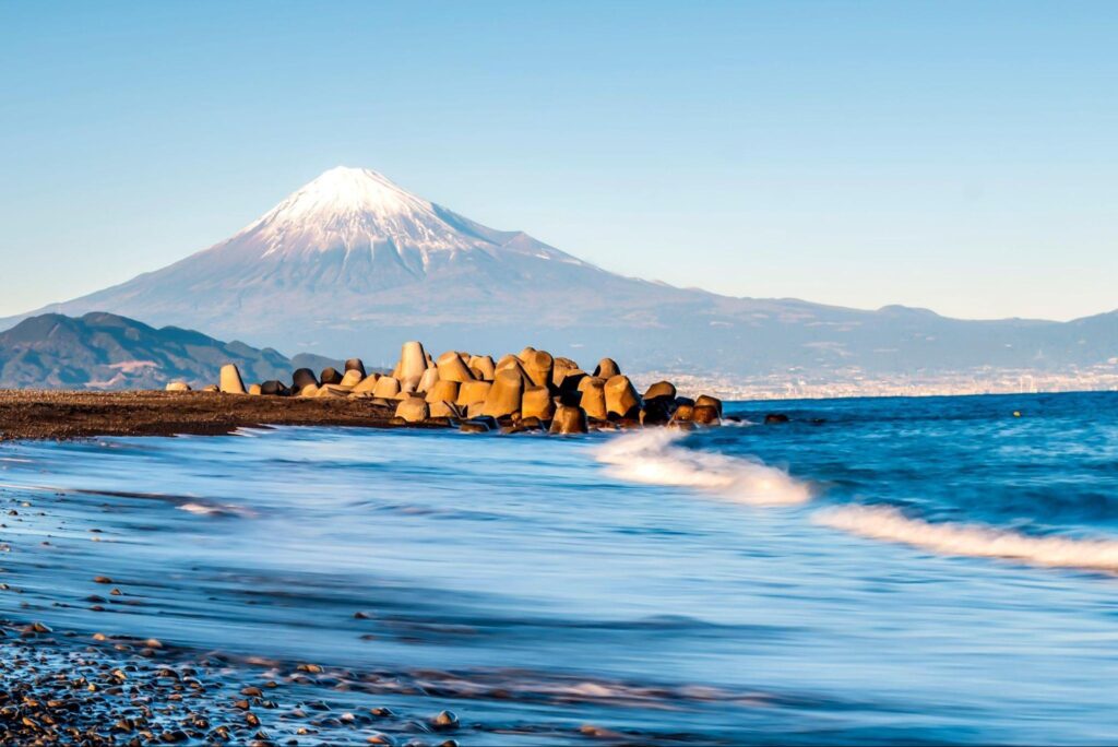 Mùa hoa Sakura: Top 6 điểm ngắm hoa anh đào ở Shizuoka 7 image1 17