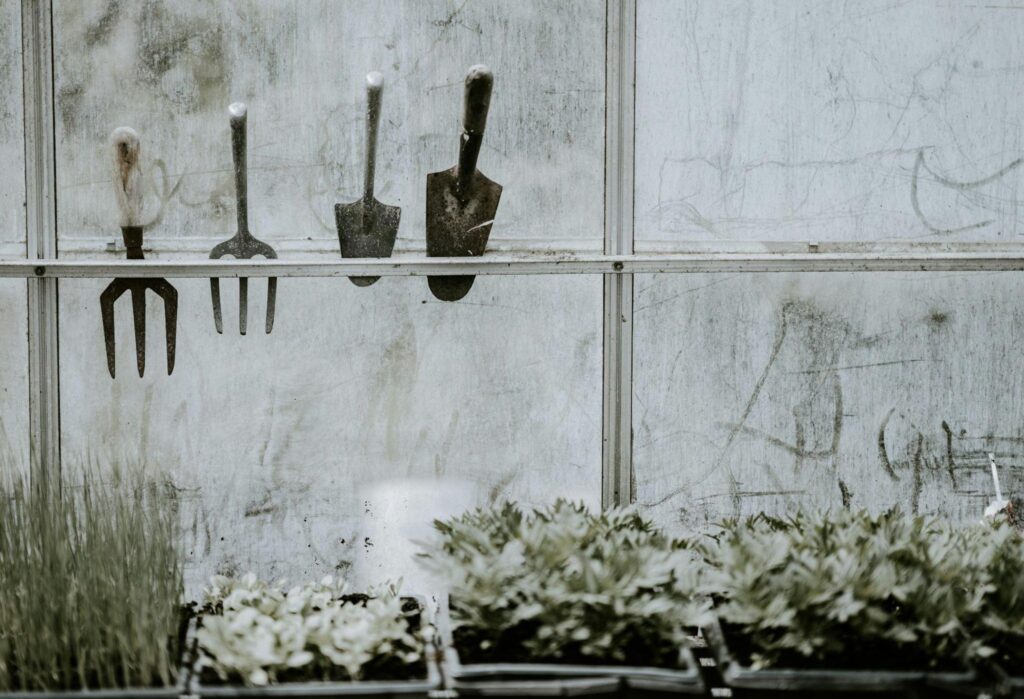 image7 8