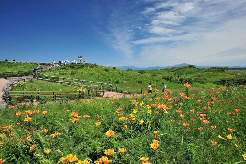 Top 5 vườn hoa siêu đẹp ở Hokkaido để tham quan mùa hè này 6 image2 12