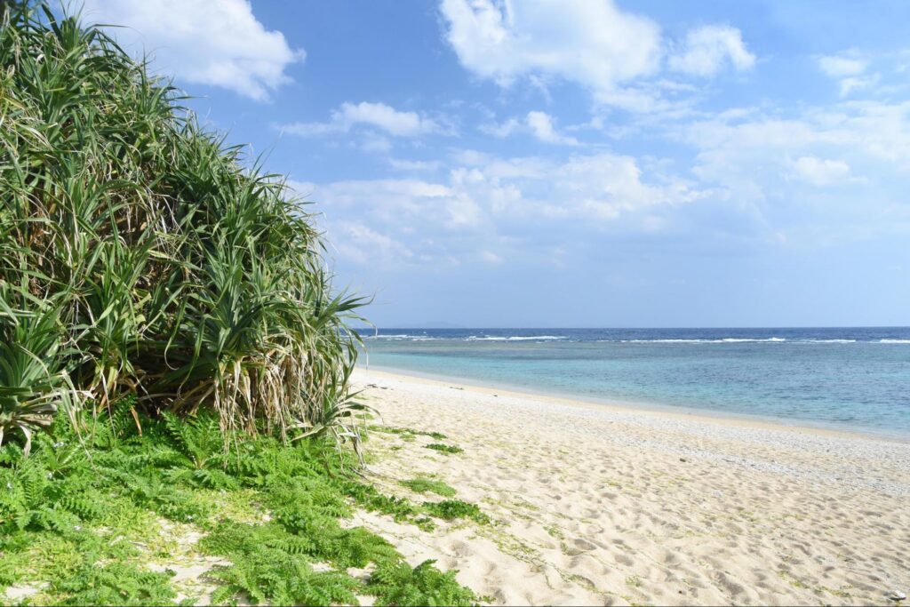 5 Praias Populares em Kyushu Para Visitar Esse Verão 6 image1 10