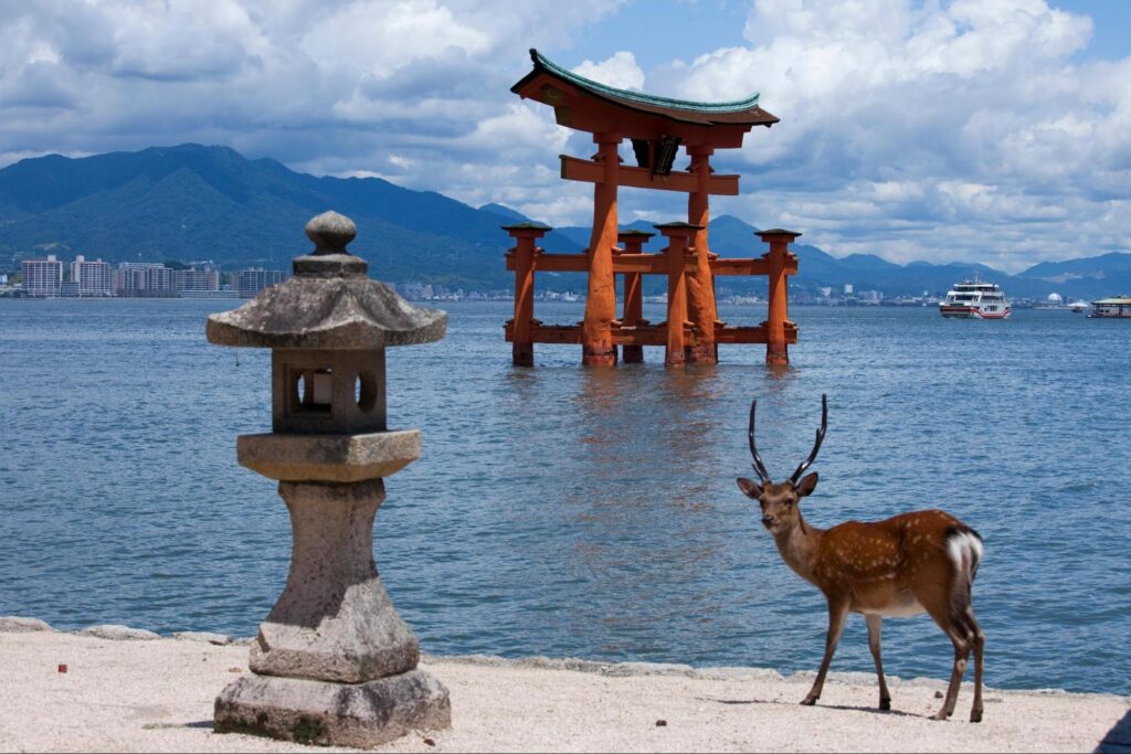 動物好きに訪れてほしいスポット5選 4 image3 18