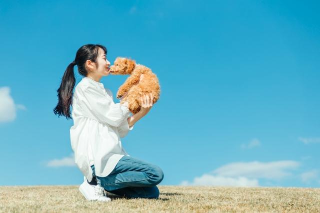 Want to Keep a Dog While Living Alone In Japan? Costs and Care Tips 2 image3 8