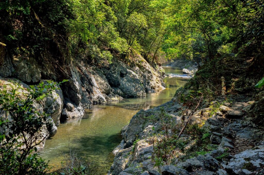 5 Most Beautiful Natural Rivers in Japan 6 image1 8