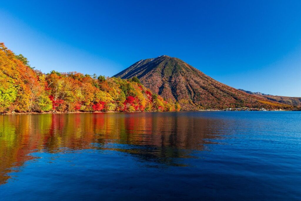 Trilhas em Kanto: 5 lugares incríveis para ver a espetacular folhagem de outono 3 image6 19