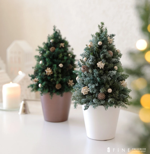 Getting in the Christmas Spirit: Festive Yet Elegant Home Decor Ideas 2 image 6