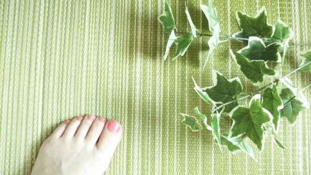 Making a "Zen" Modern Japanese-Style Room 3 image 29
