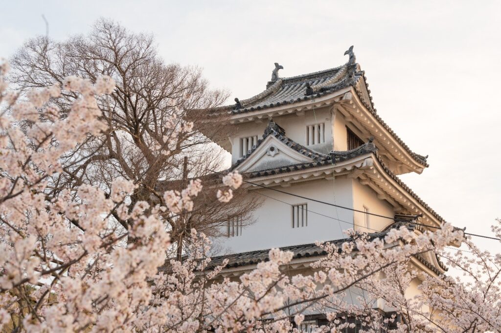 香川ガイド: 日本の静かな芸術と文化の楽園 7 image 45