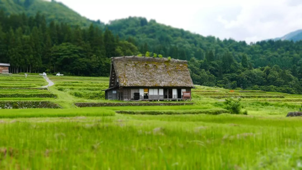 空き家
