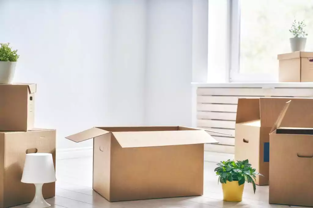 Cardboard boxes