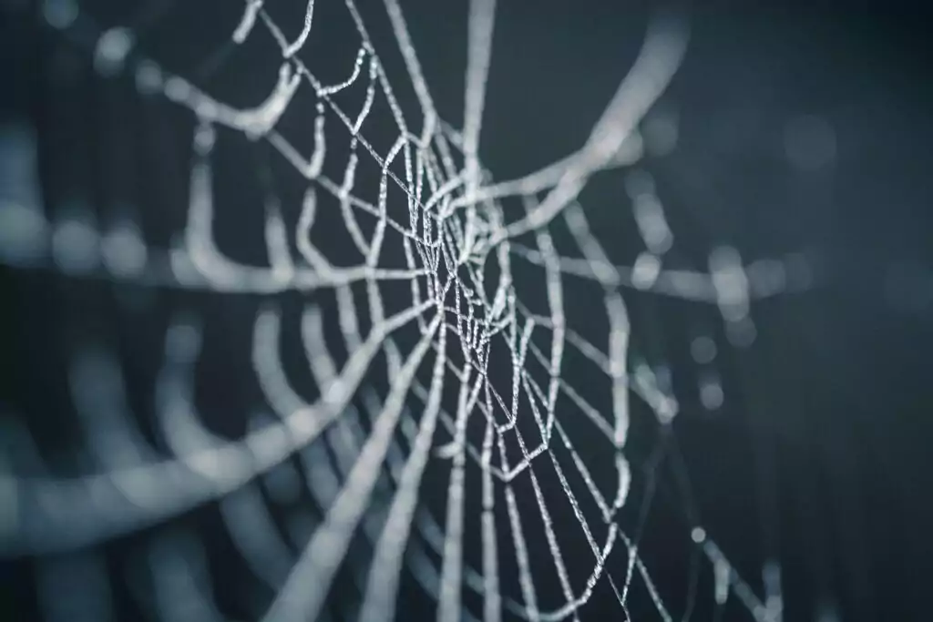 Decoração de Dia das Bruxas de Teia de Aranha