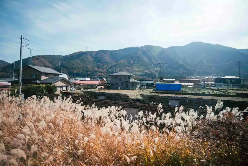 Rural Area