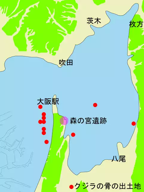 image4