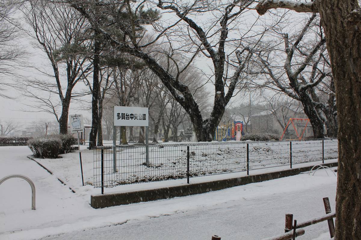 Elementary School near Village House Tagadai in Hachinohe-shi