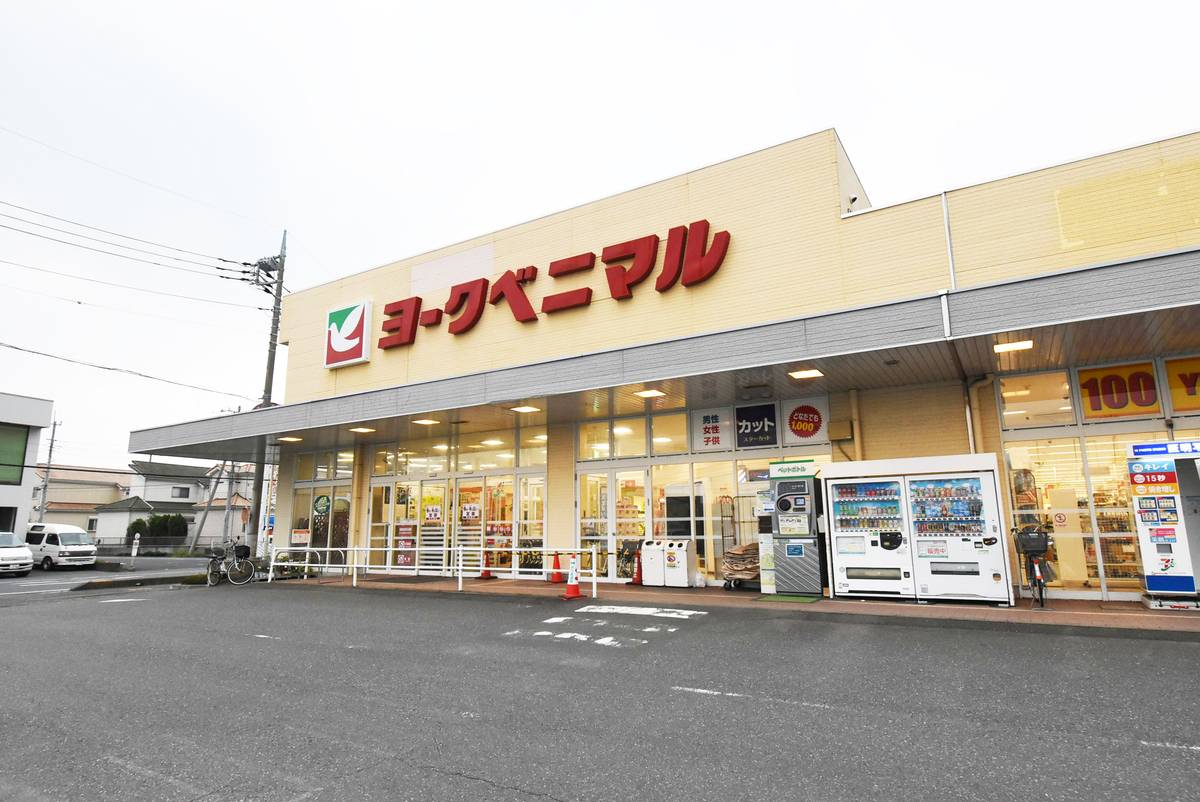 Supermercado perto do Village House Minori em Omitama-shi