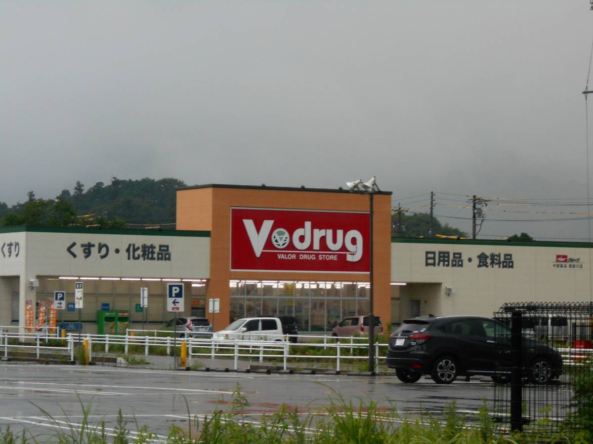 Drugstore near Village House Ibigawa in Ibi-gun