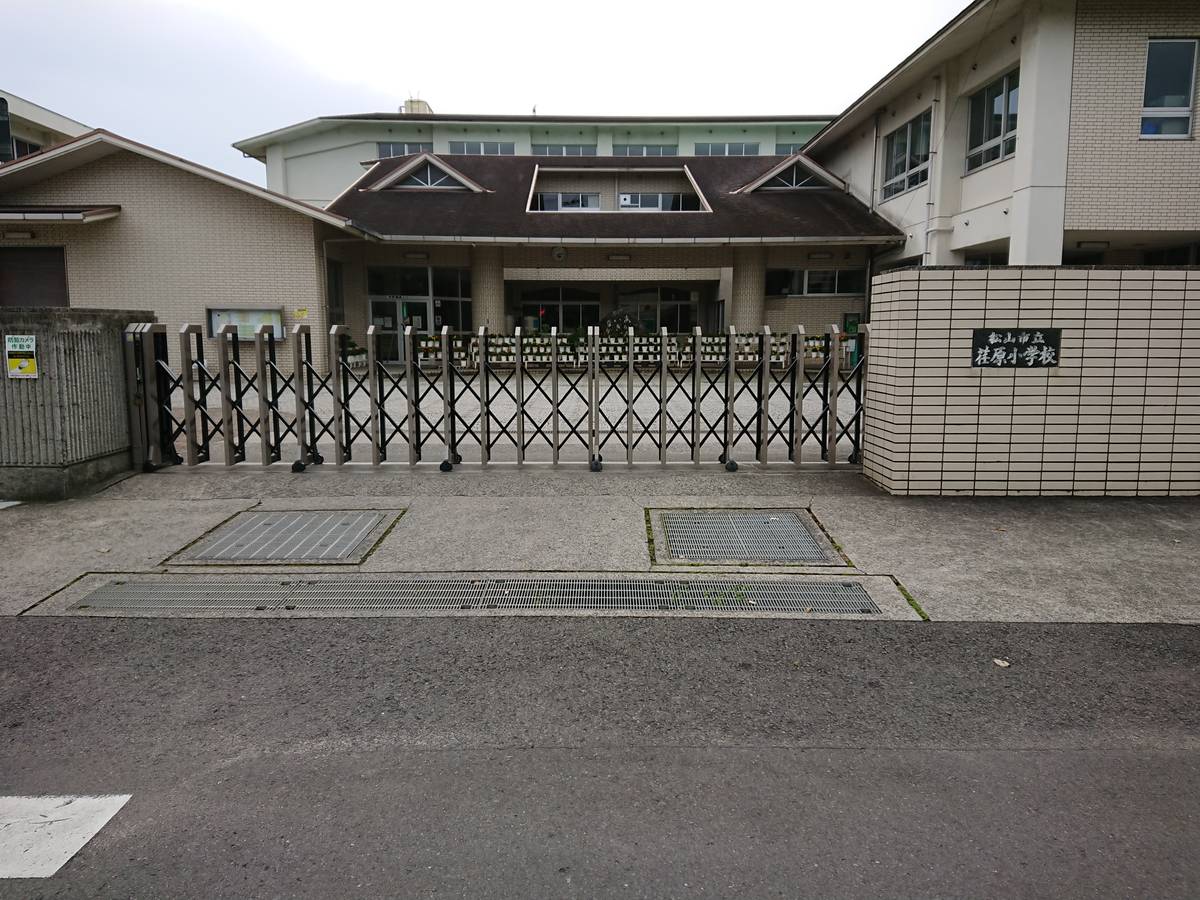 松山市ビレッジハウス松山上野の近くの小学校