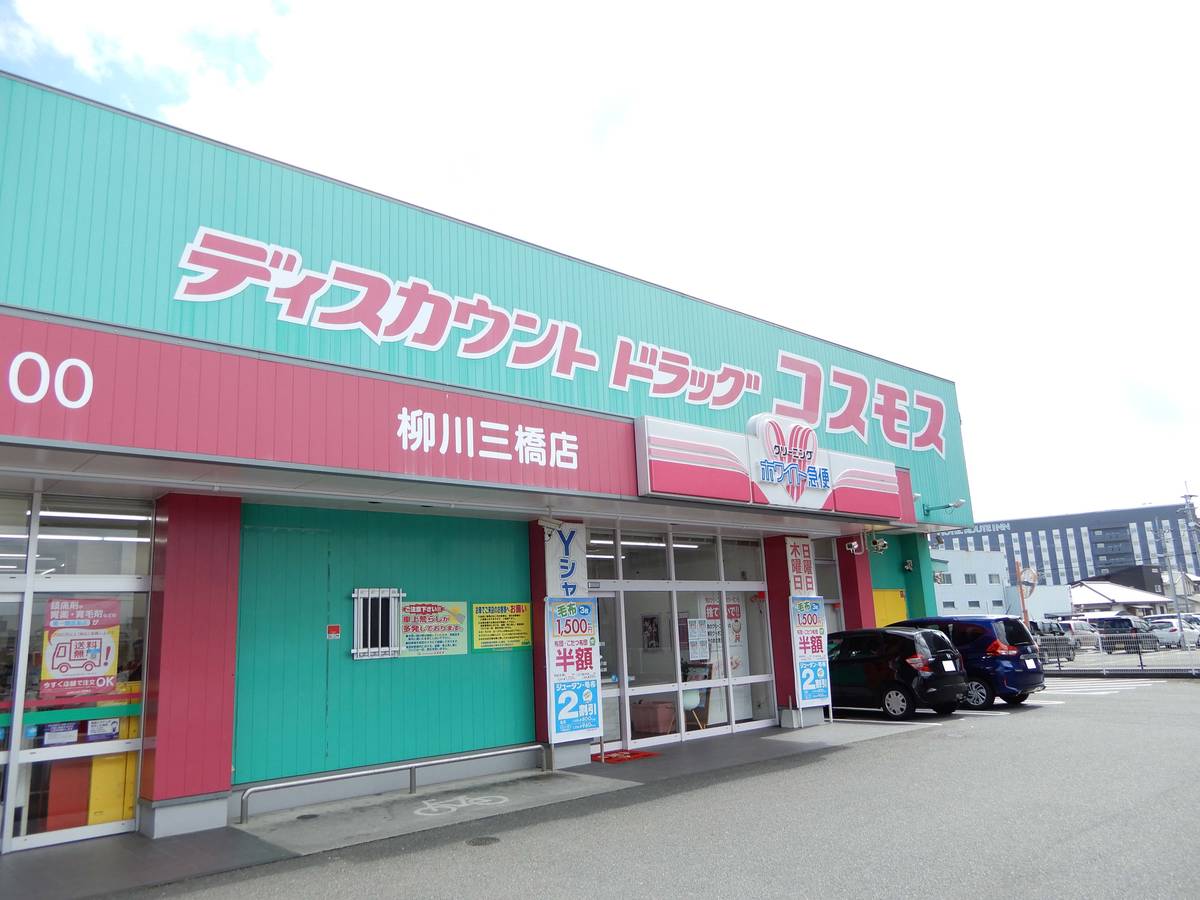 Drugstore near Village House Mitsuhashi in Yanagawa-shi