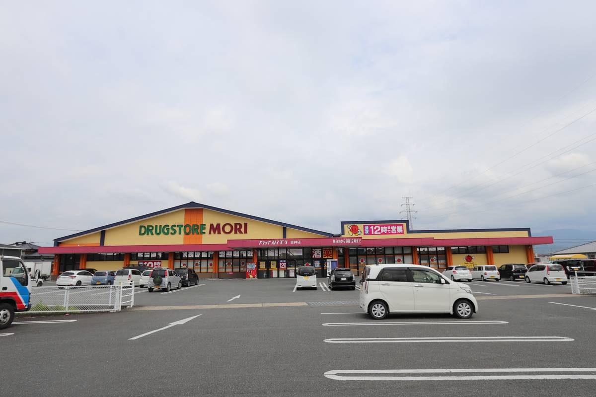 Drugstore near Village House Yoshii 2 in Ukiha-shi