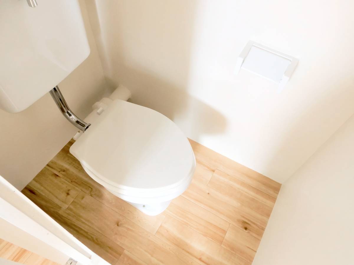 Ichinoseki-shi ရှိ Village House Sekigaoka Dai 2 ၏ အိမ်သာ