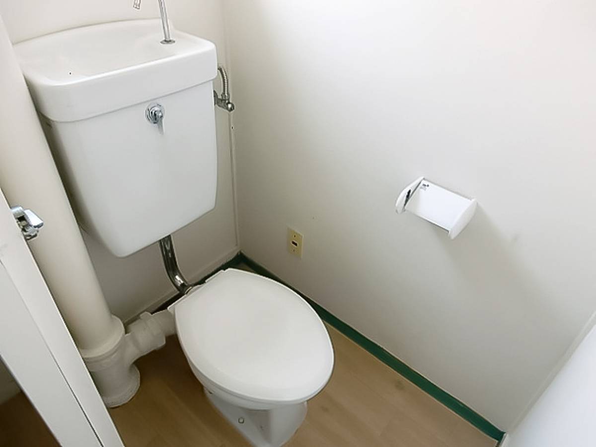 Toilet in Village House Shiwa in Shiwa-gun