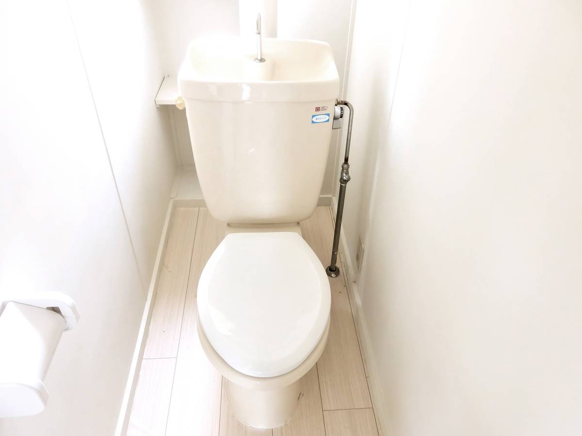 Toilet in Village House Hanaizumi Nishi in Ichinoseki-shi