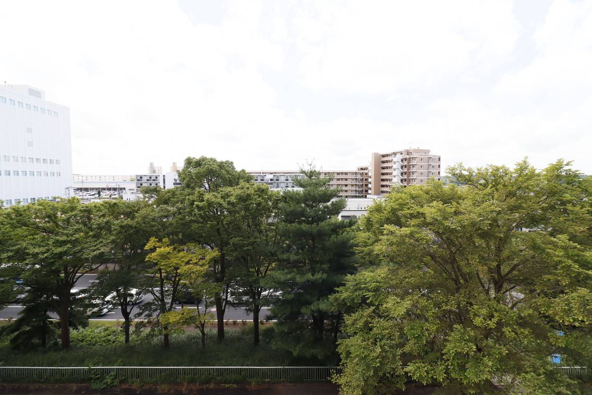 Tầm nhìn từ Village House Narita Azuma Tower ở Narita-shi