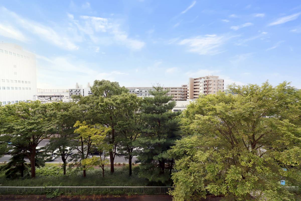 成田市ビレッジハウス成田吾妻タワーの眺望
