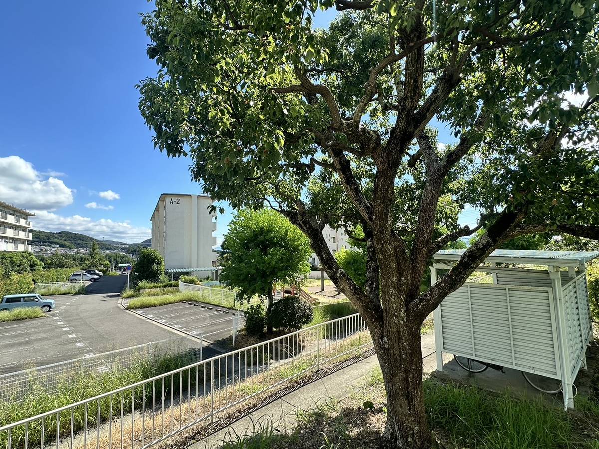 和歌山市ビレッジハウス鳴滝の眺望