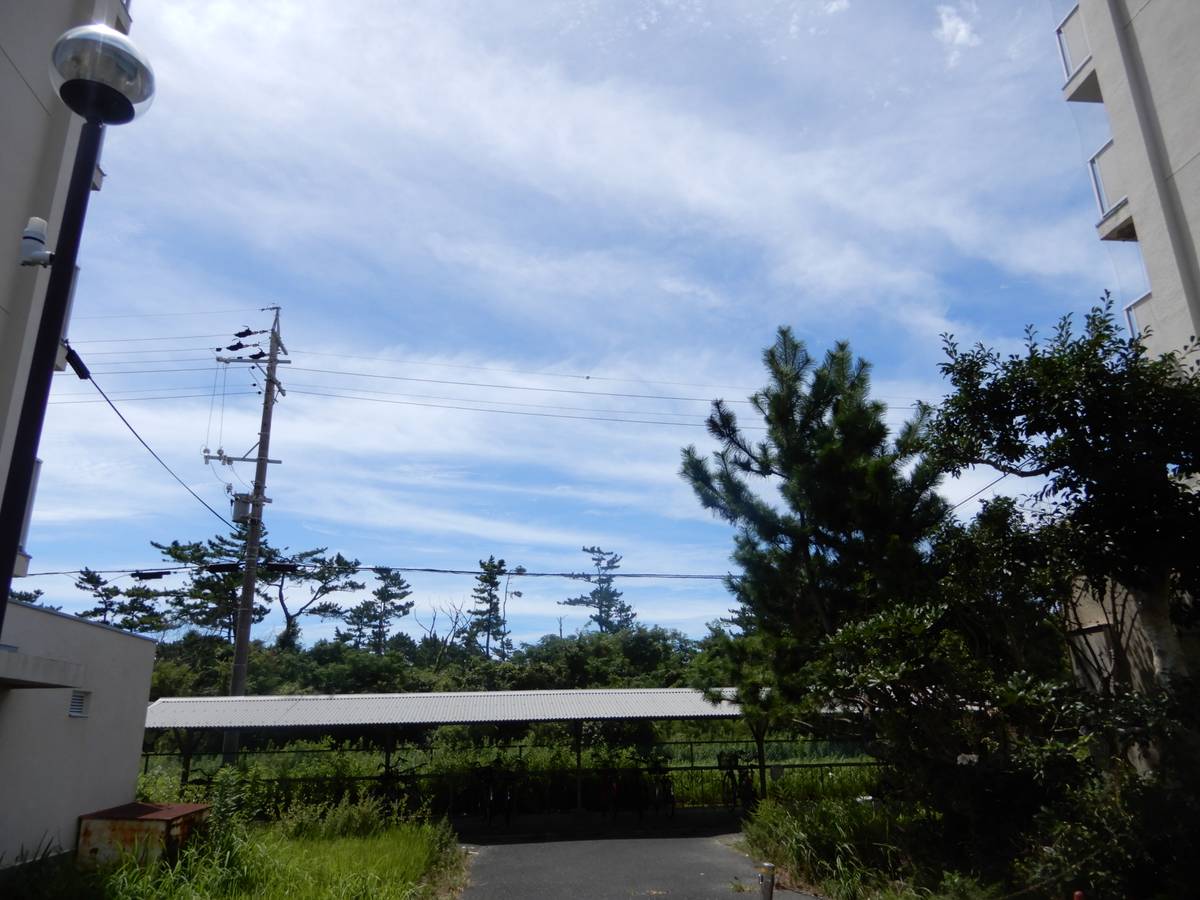 Tầm nhìn từ Village House Arai ở Kosai-shi