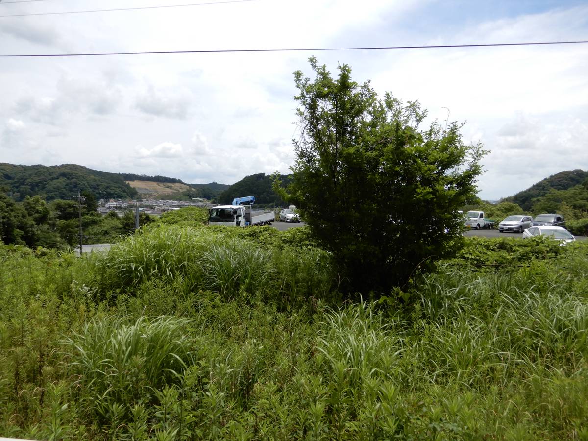 Tầm nhìn từ Village House Futamata ở Tenryu-ku