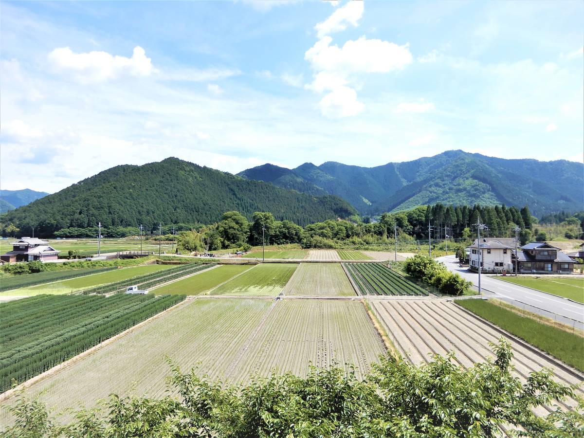 View from Village House Sannan in Tamba-shi