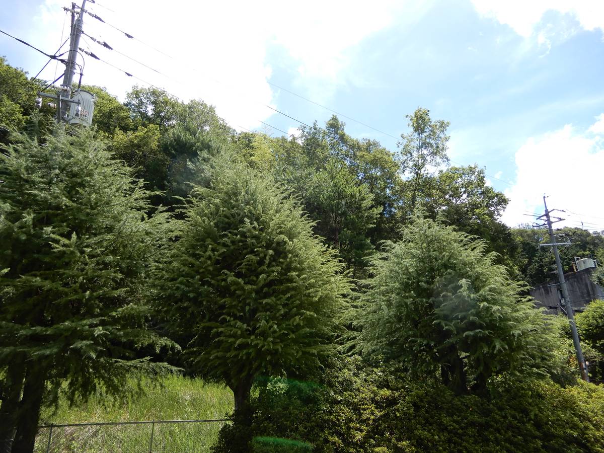 Katsuta-gun ရှိ Village House Shoou Dai 2 မှ ရှုခင်း