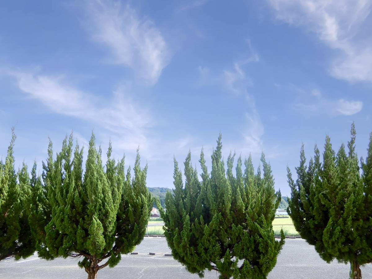 宇部市ビレッジハウス楠Ⅱの眺望