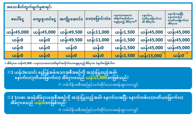 Initial cost details (Myanmar)