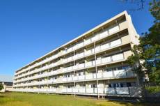 長岡市ビレッジハウス小国の建物外観